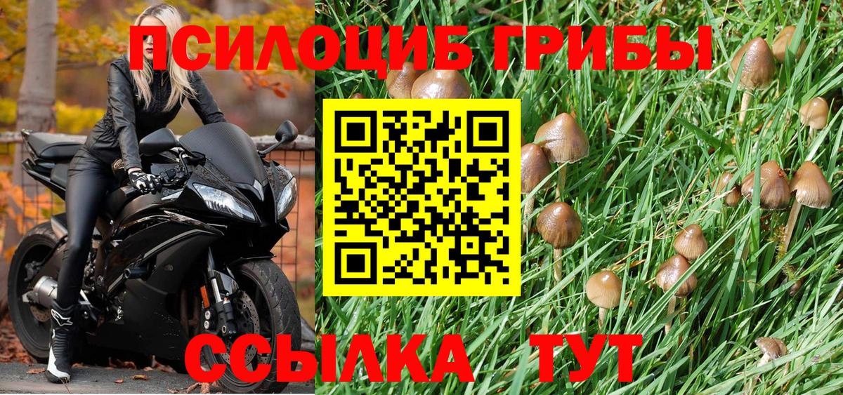 Псилоцибиновые грибы Magic Shrooms Грязи